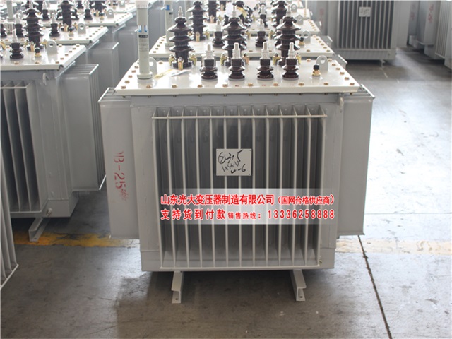 天宁S13-1250KVA油浸式变压器